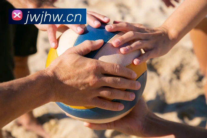 App Interface Preview